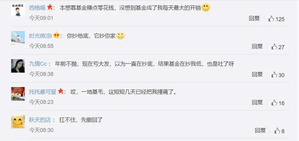 基金净值下跌_基民亏损感悟_基金是不是有价证券