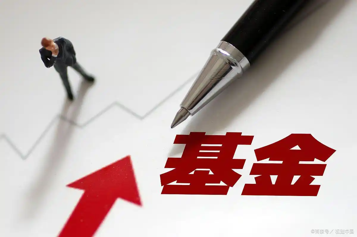 基金持仓公开性_个人跟着基金投资_基金是不是有价证券