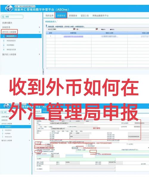 存量权益申报操作流程_外汇登记凭双证办理资金出境_收到外汇后为什么要申报