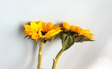 被人投诉如何维权