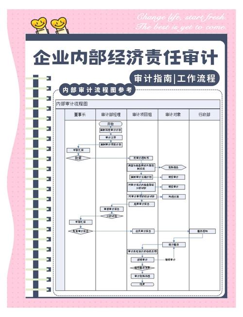 经济责任审计进场会_主要领导经济责任审计流程详解_主要领导经济责任审计目的意义流程