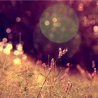 中国银行电子现金账户是什么意思_中国银行电子卡在线支付_中国银行电子卡安全使用