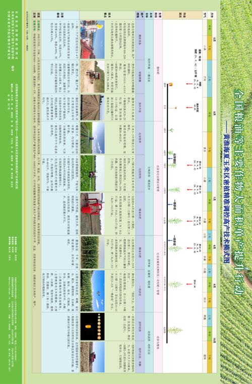 截止2025年底,我国玉米收获机械化率已经突破_玉米收获机改进_玉米收获机割台行距可调设计