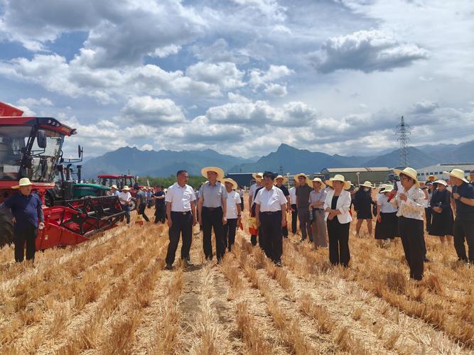 小麦机收率_农业机械化水平提升_截止2025年底,我国玉米收获机械化率已经突破