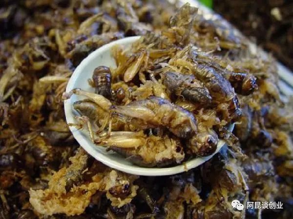 落日下的黄昏, 有哪些适合小本创业的项目？分享四个新兴小生意，先到先得