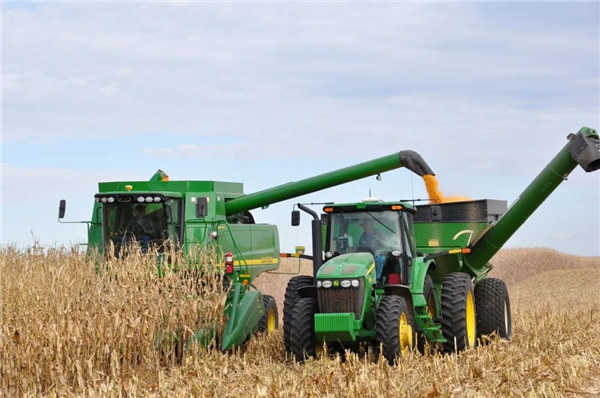 截止2025年底,我国玉米收获机械化率已经突破_玉米籽粒直收技术_玉米粒收机械化率