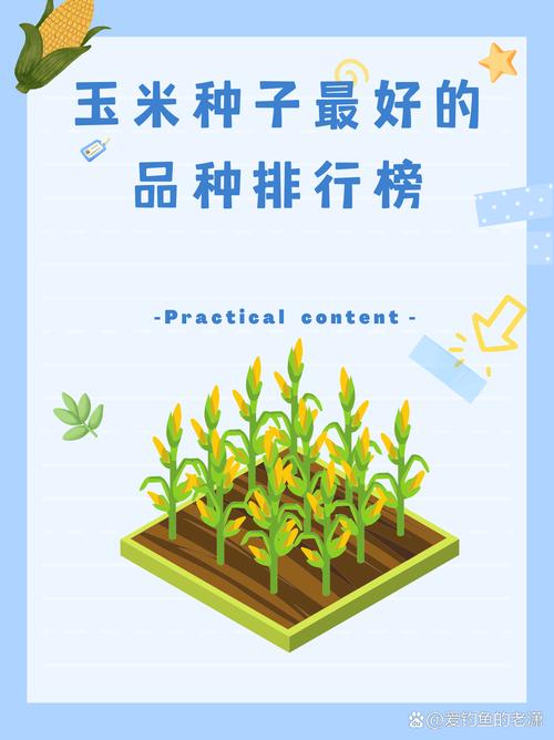 截止2025年底,我国玉米收获机械化率已经突破_玉米粒收机械化率_玉米籽粒直收技术