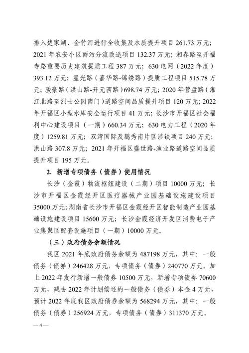 地方政府一般债券预算管理_宾阳县2024年财政预算调整方案_地方政府债券资金安排
