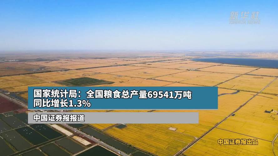 中国粮食产量连续9年超6.5亿吨！2023年再创历史新高，达69541万吨