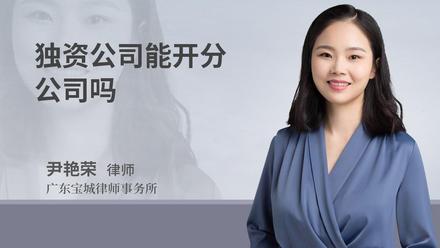 独资公司能开分公司吗