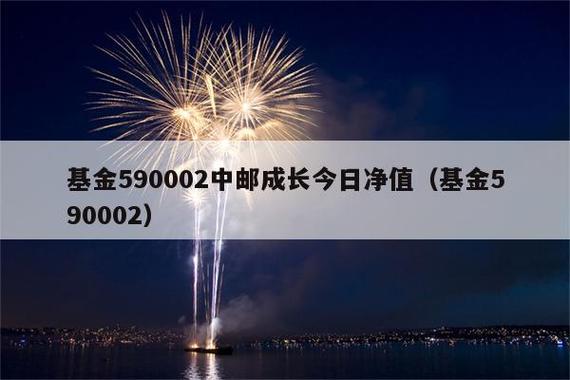 查中邮成长基金今日净值 了解基金业绩波动防踩坑