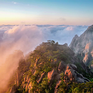 我能在上海买一栋小产权房吗?购买合法吗?_合肥连锁经营是国家做的吗_特许经营连锁业合法吗