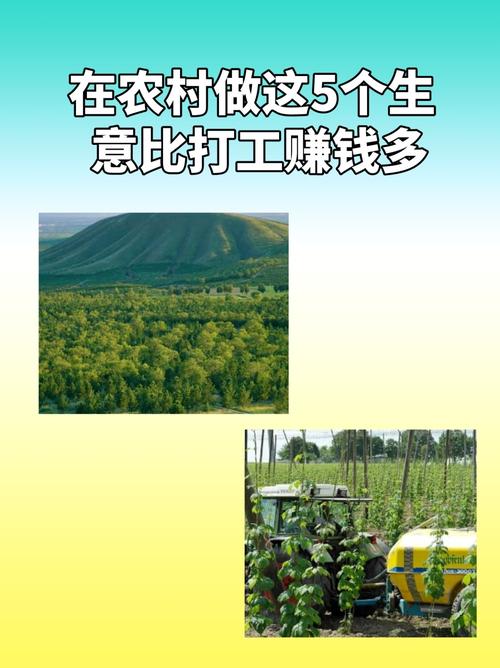 中年回农村创业_现在在农村做什么生意赚钱投资小_农村低投入赚钱项目