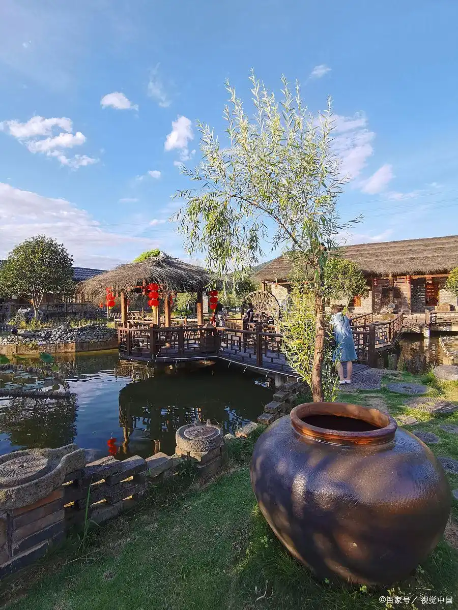 农村低投入赚钱项目_现在在农村做什么生意赚钱投资小_中年回农村创业