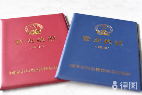 上市公司股东最多占多少人