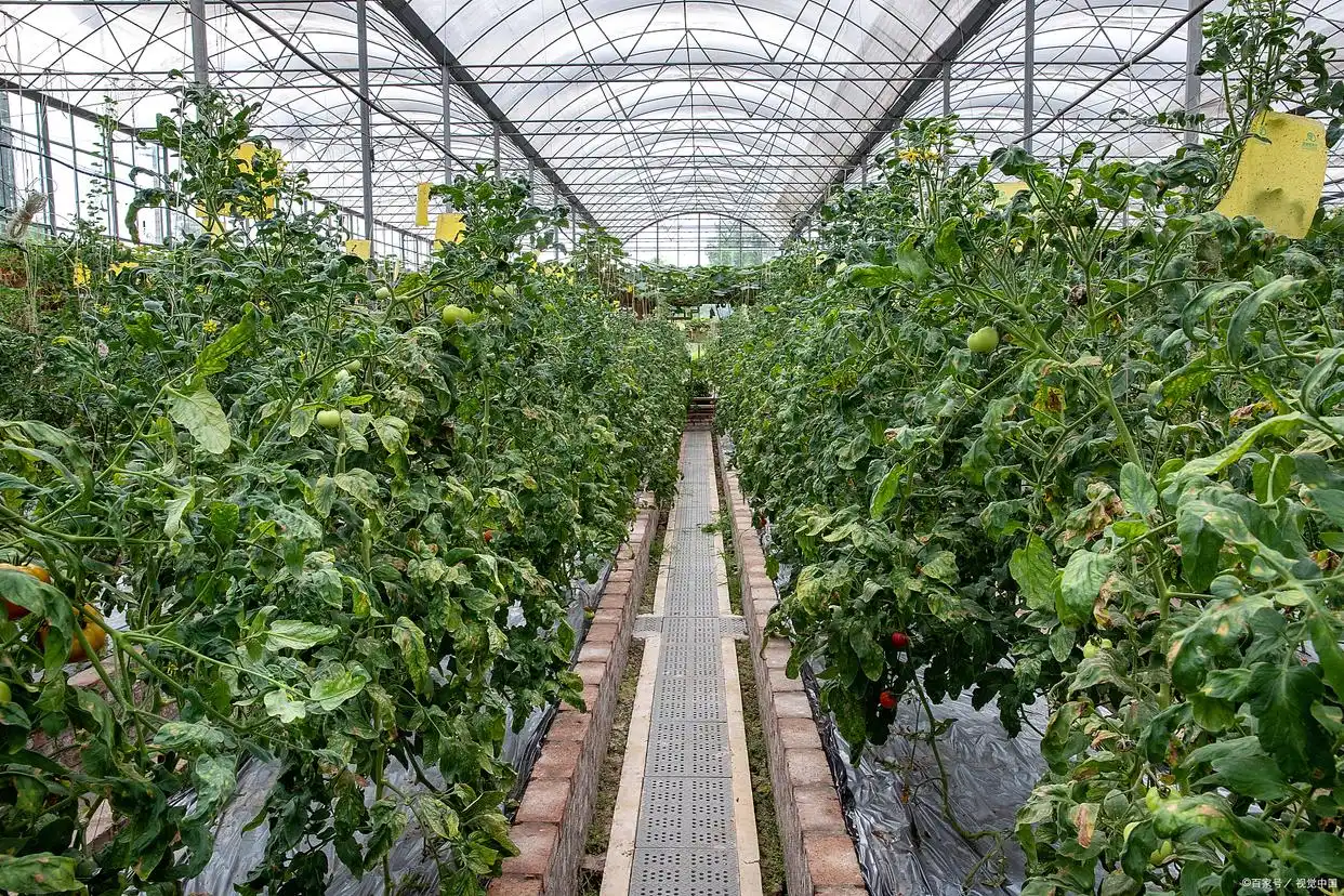 农村电商销售特产_现在在农村做什么生意赚钱投资小_乡村民宿创业项目