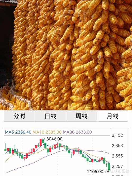玉米市场行情分析_2026年3月9日玉米价格_我国下半年玉米价格走势