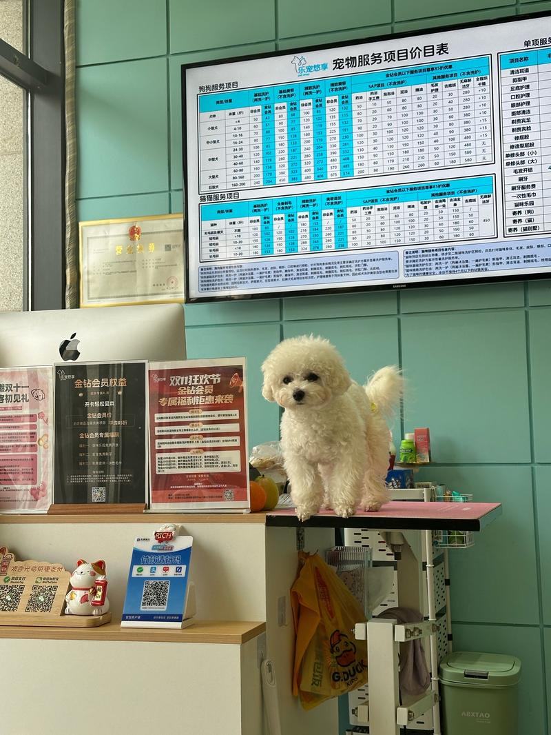 宠物行业市场趋势_宠物店利润分析_婴儿用品店利润分析