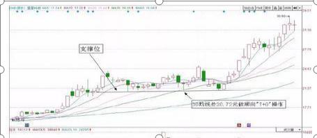 中国股市散户生存法则_股市故事_卖辣椒故事中国股市启示