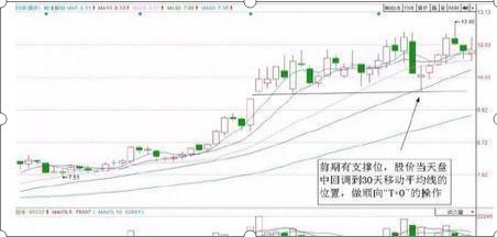 股市故事_卖辣椒故事中国股市启示_中国股市散户生存法则