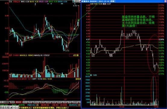 散户联盟 敢死队_庄家最怕的散户类型_牛散长线投资散户