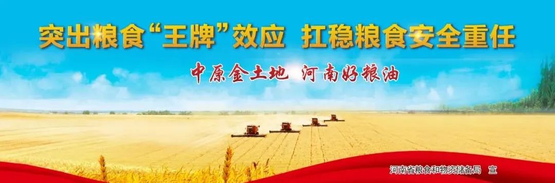 玉米市场价格走势_我国下半年玉米价格走势_玉米价格上涨原因分析