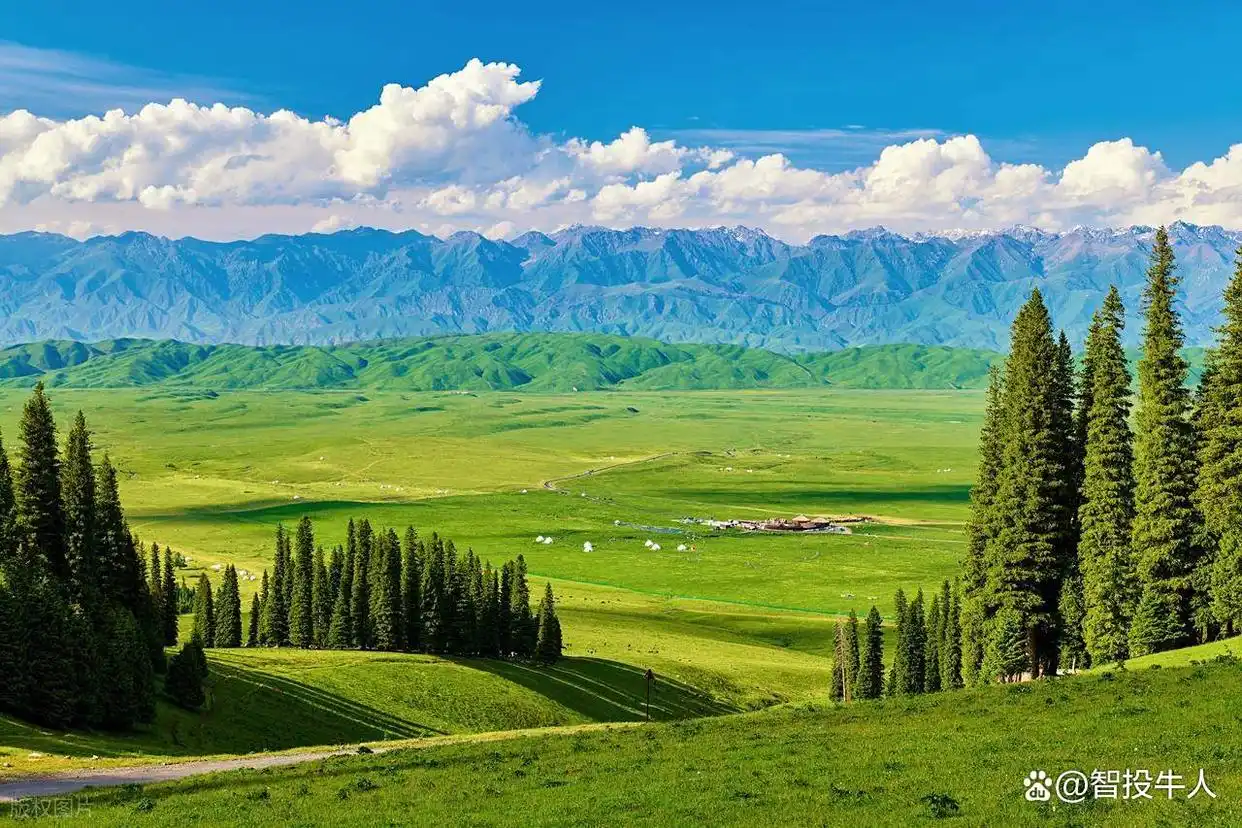 涨停回马枪战法_庄家识别技巧_回马枪选股