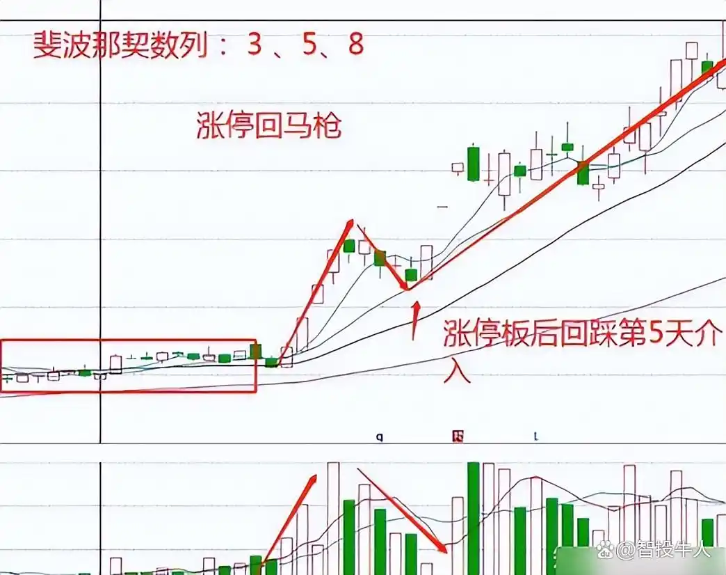 庄家识别技巧_涨停回马枪战法_回马枪选股