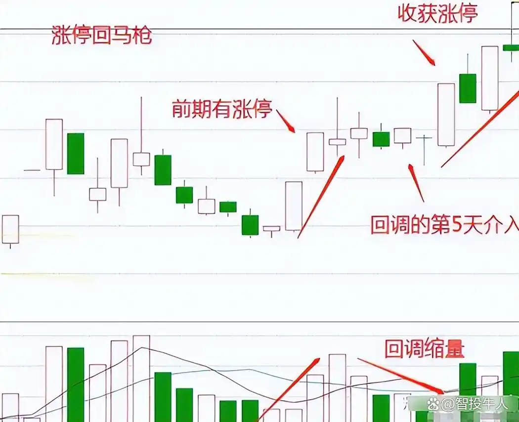 回马枪选股_涨停回马枪战法_庄家识别技巧