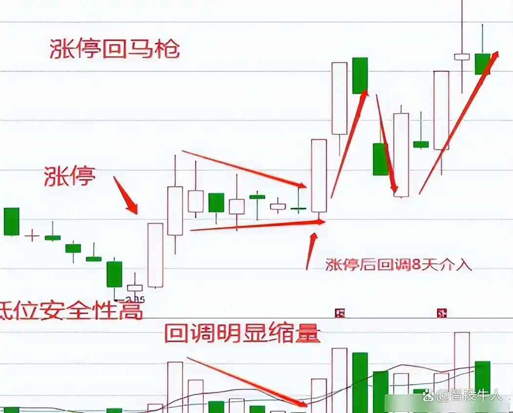 庄家识别技巧_涨停回马枪战法_回马枪选股
