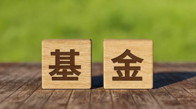 新手基金入门指南_股票交易软件的基金_支付宝基金投资教程