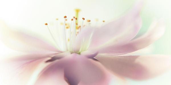 邯郸市装修公司2025排行榜